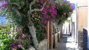 A Quiet Weekend in Capri