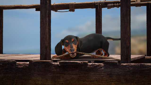 The Lost Dachshund